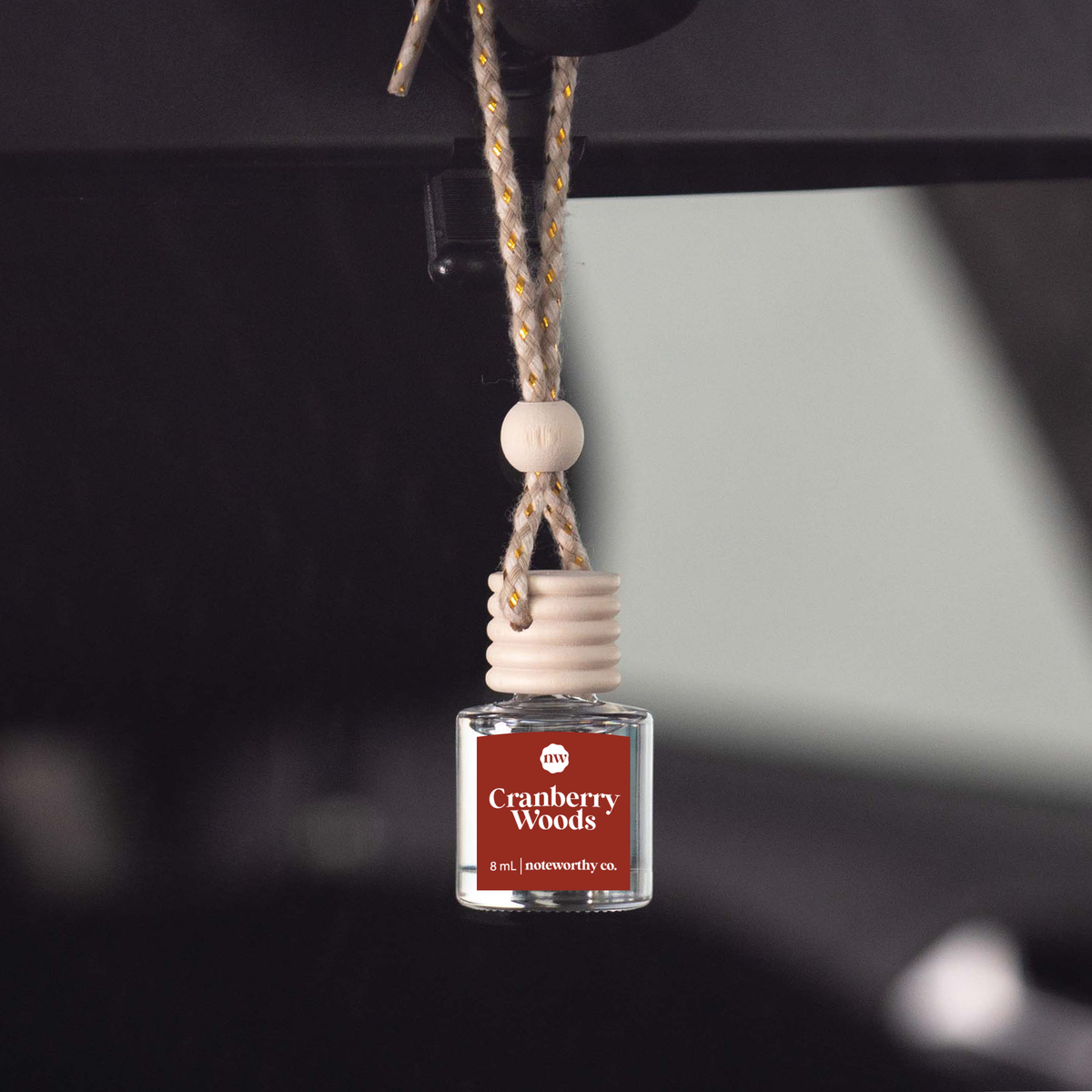 Car Diffusers | Holiday Scents