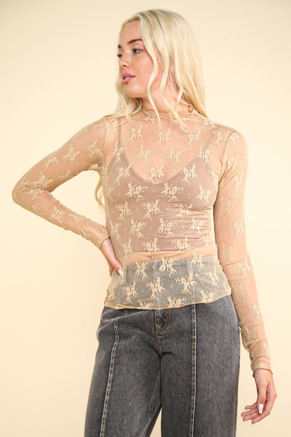 High Neck Fitted Sheer Mesh Lace Knit Top