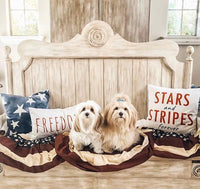 Stars & Stripes Forever- Pillow Cover