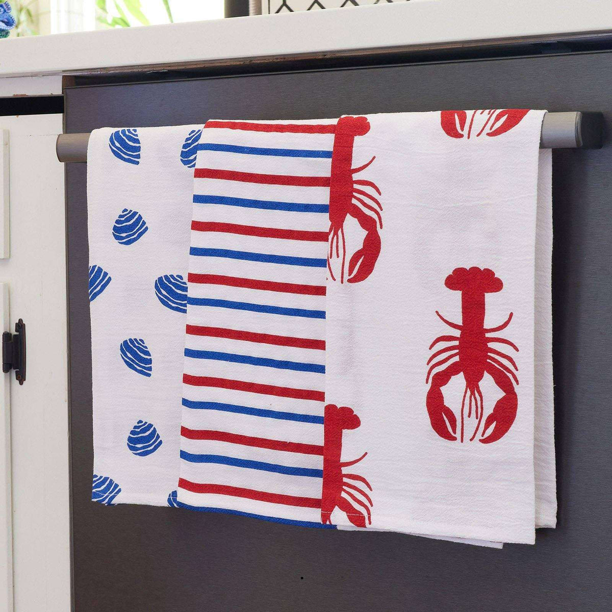 COASTAL Cotton Kitchen Towels, Set of 3