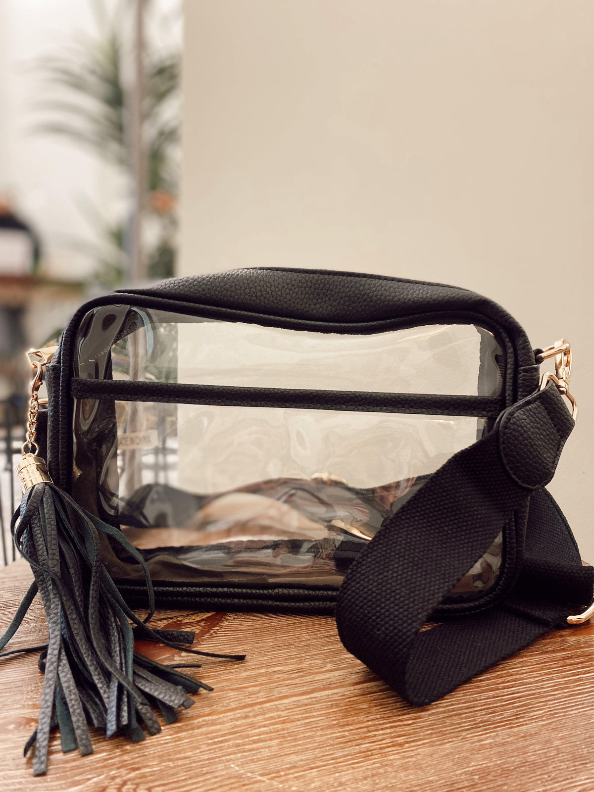 Black Trim Clear Camera Crossbody