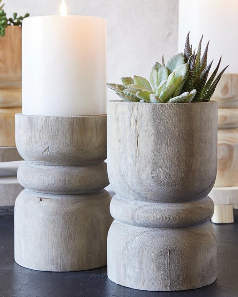 Large Succulent Pillar - Grey Paulownia Wood